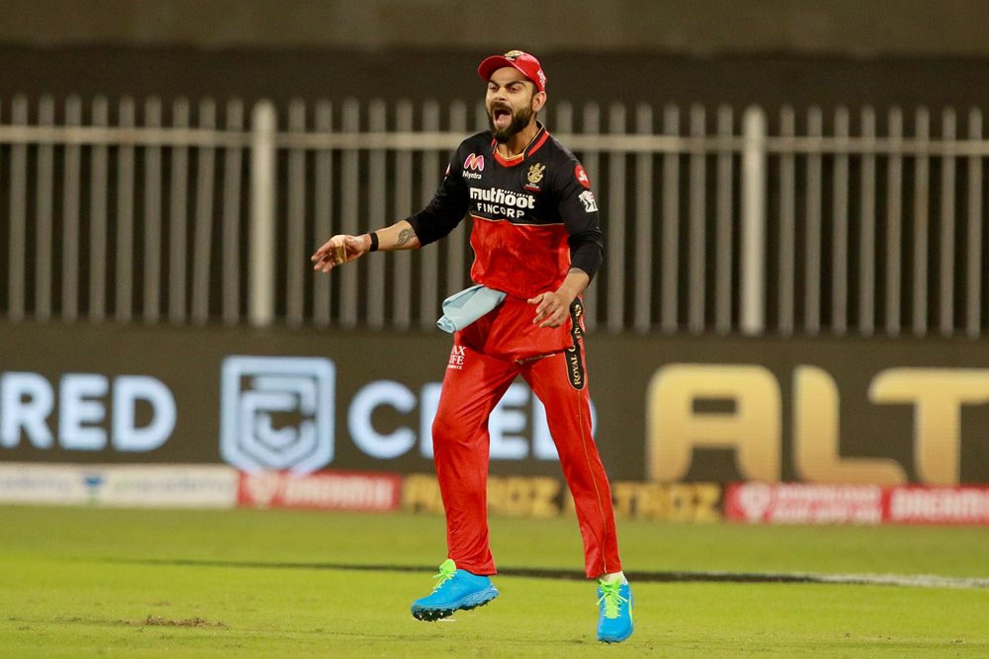 RCB lost the match against SRH by 6 wickets. 