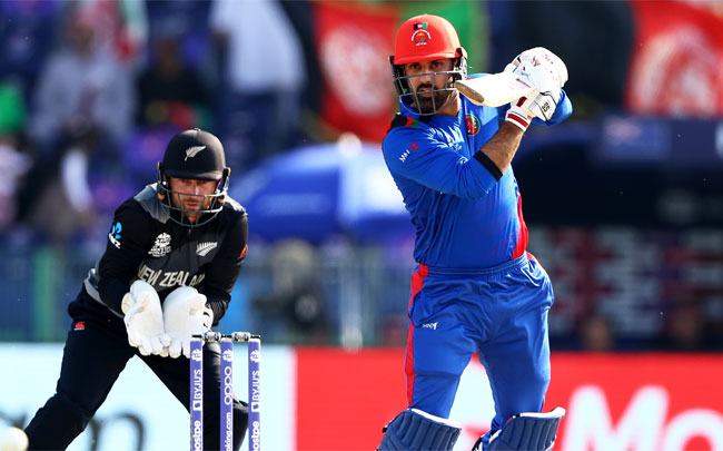 Afghanistan suffered an eight-wicket defeat against New Zealand on Sunday in Abu Dhabi