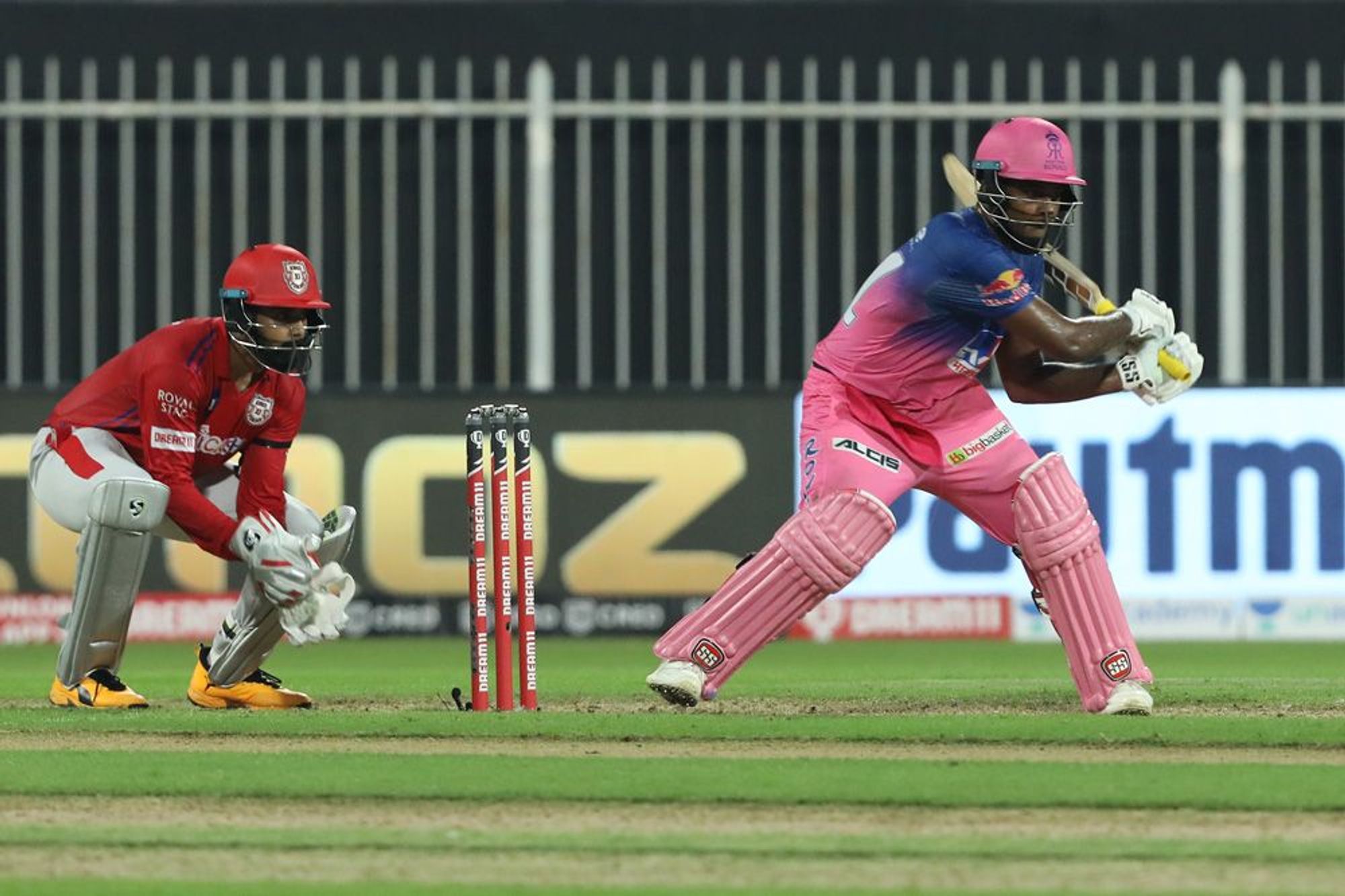Samson enroute to his fifty against Punjab last year