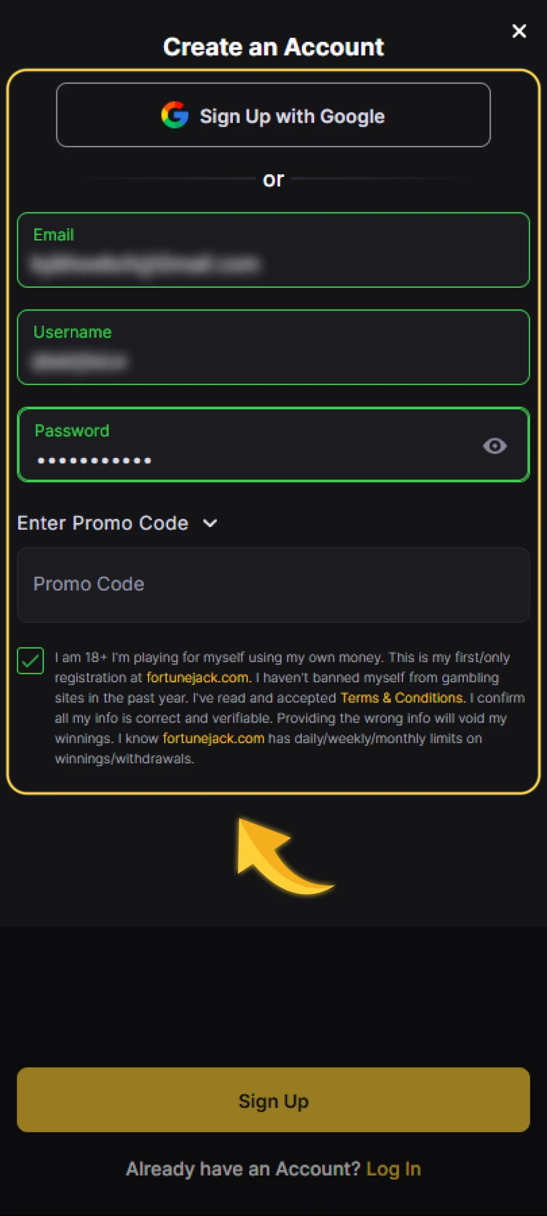 Fill out the form by entering your email, creating a username, and setting a password.